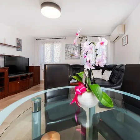 Apartment Santin *